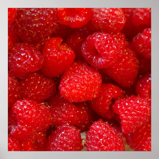 Póster Deliciosa linda foto de frambuesa rosa oscuro (Frente)