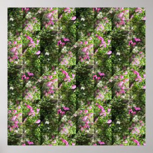 Póster Deliciosas Dulces......