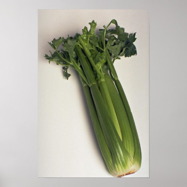 Póster Delicioso tallo de apio (Frente)