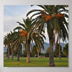 Póster Delightful Date-trees