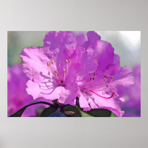 Póster Delightful Lavender