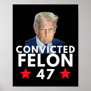 Póster Delincuente Condenado 47 Presidente 2025 Anti Trum