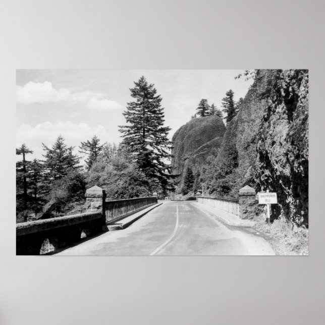 Póster Dell de Shepherd en la fotografía 2 del río Columb (Frente)