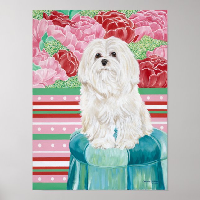 Póster Della Rose Maltese (Frente)