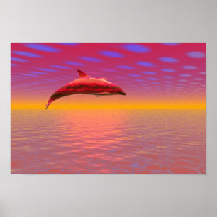 Póster Delphin Sunset