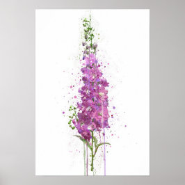 Póster Delphiniums