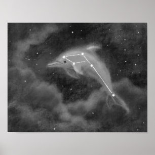 Póster Delphinus Constellation Dolphin Poster