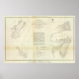 Póster Delta del Mississippi