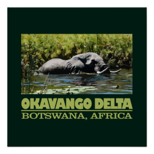 Póster Delta del Okavango