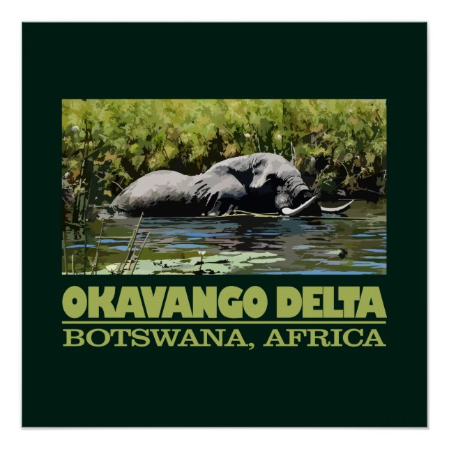 Póster Delta del Okavango (Anverso)