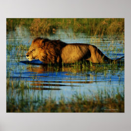 Póster Delta del Okavango, Botsuana 3