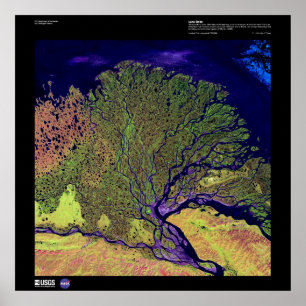 Póster Delta del río Lena