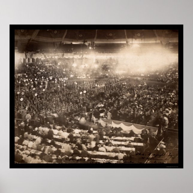 Póster Dem Conv St Louis MO Photo 1904 (Frente)
