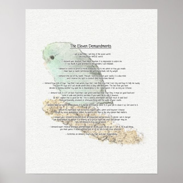 Póster Demandaciones de Parrotlets (Frente)