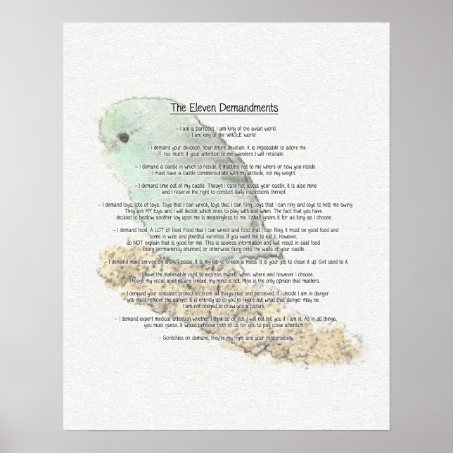 Póster Demandaciones de Parrotlets (Frente)
