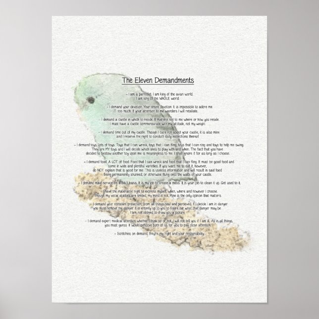 Póster Demandaciones de Parrotlets (Frente)