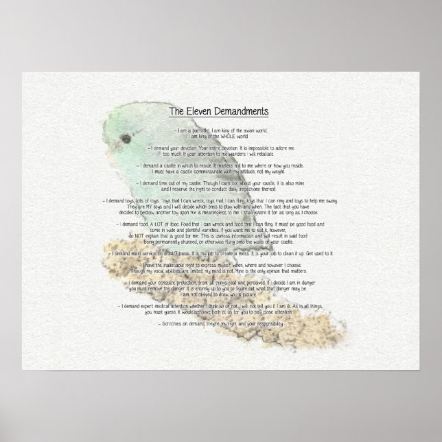 Póster Demandaciones de Parrotlets (Frente)