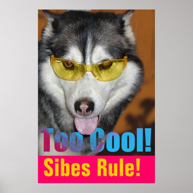 Póster Demasiado Poster de Guay (Frente)