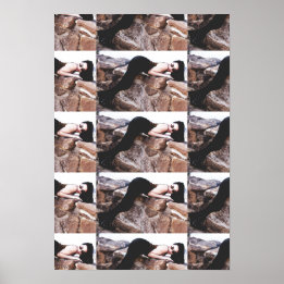 Póster Demi Lowe En El Poster 2 De Colorado