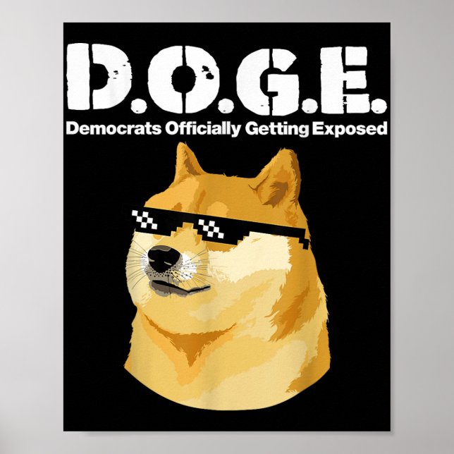 Póster Demócratas memes de perros que se exponen oficialm (Frente)