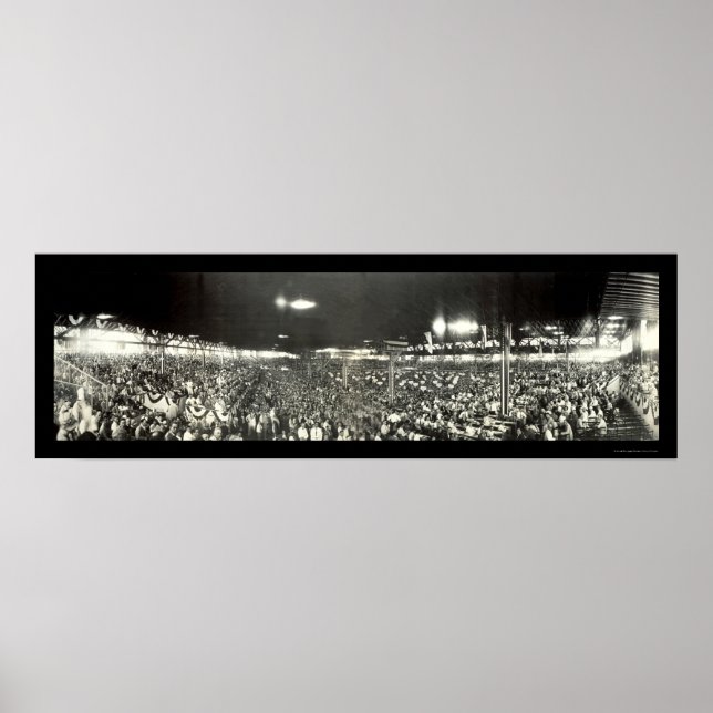 Póster Democratic Convention Photo 1928 (Frente)