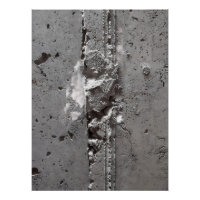 Demón de concreto - Fotografía de Ken Gage