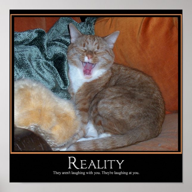 Póster Demotivador de gato (Frente)