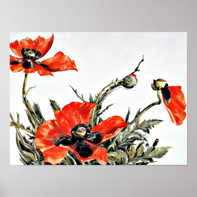 Póster Demuth - Poppies rojos, pintura popular (Frente)