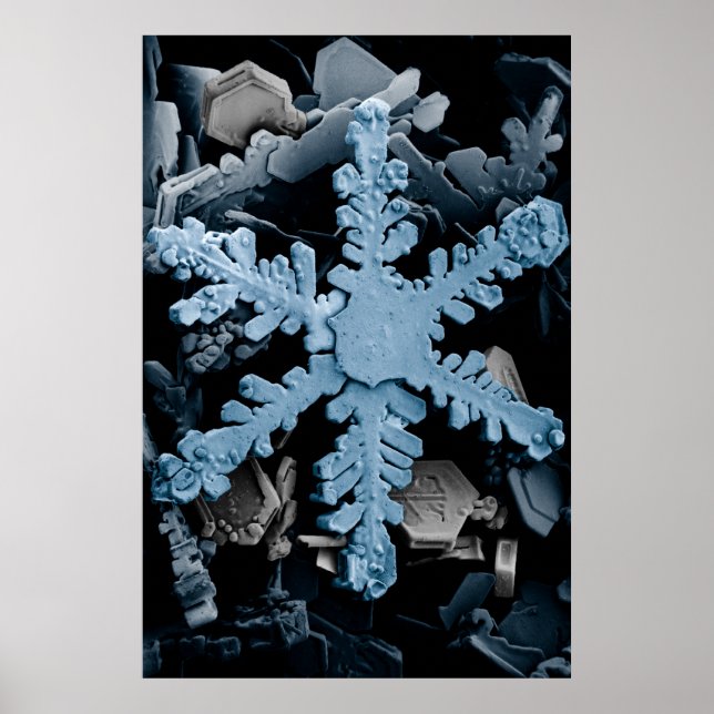 Póster Dendrita Hexagonal ampliada de copo de nieve (Frente)