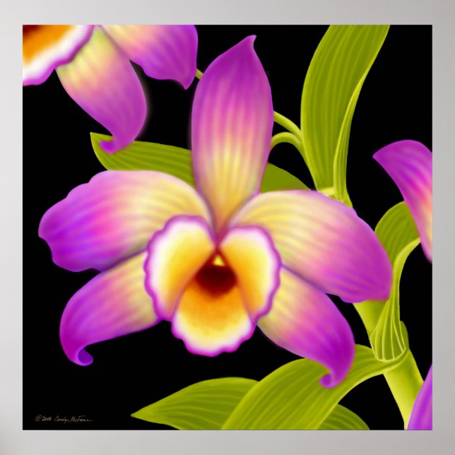 Póster Dendrobium Nobile Orchid Print (Frente)