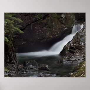 Póster Denny Creek