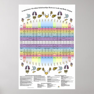 Póster Dental Teeth Acupuncture Health Poster