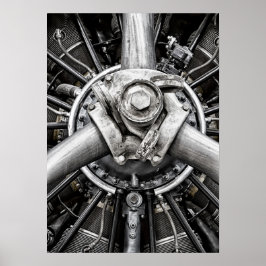 Póster Dentro de una hélice