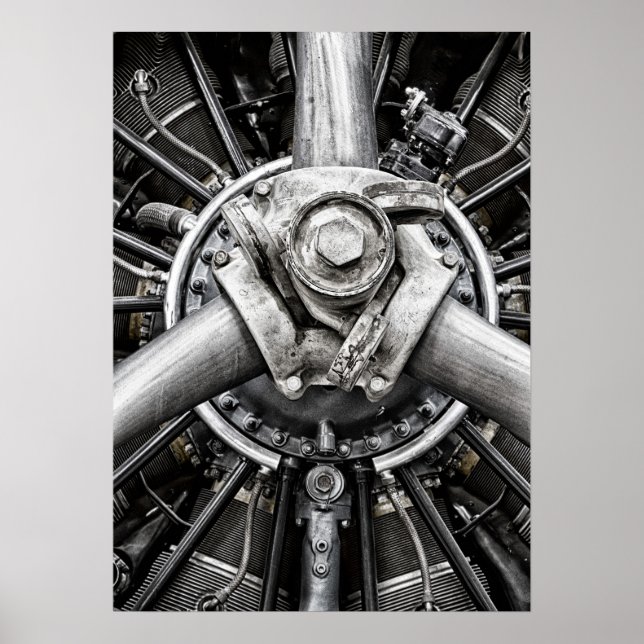 Póster Dentro de una hélice (Frente)