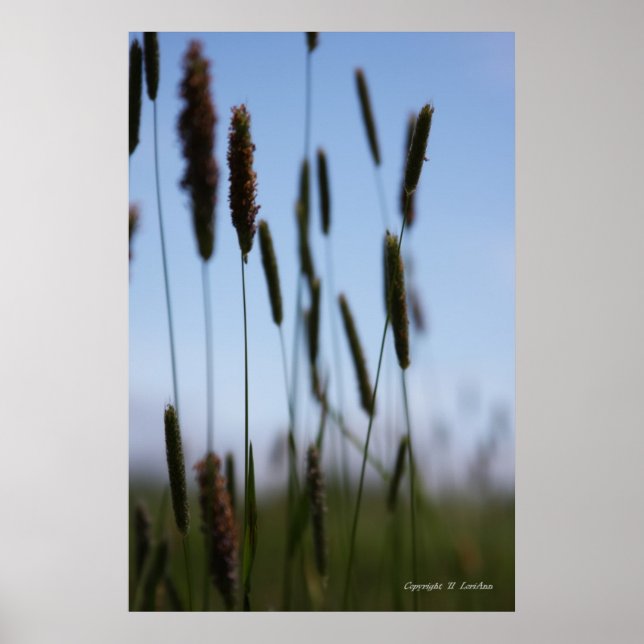 Póster Dentro del heno (Frente)