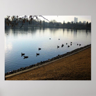 Póster Denver City Park, Denver, Colorado