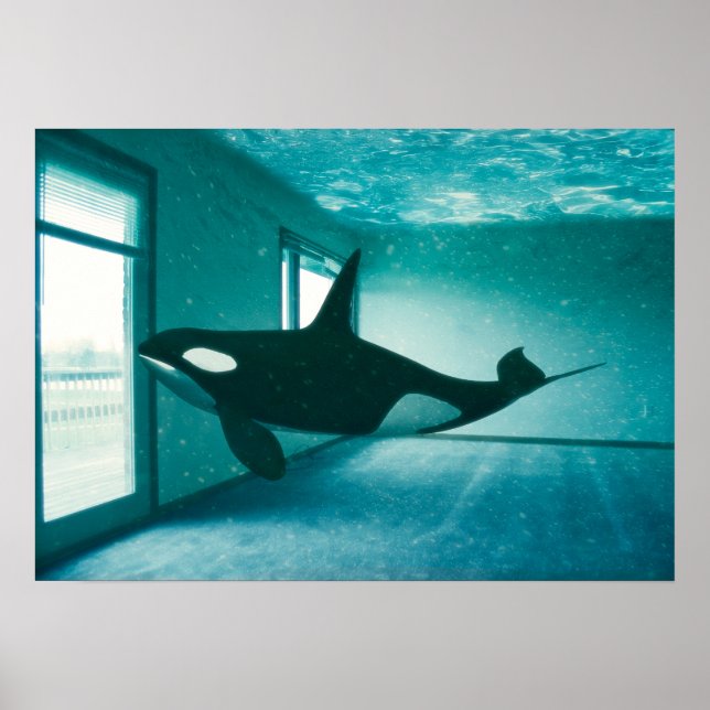 Póster Departamento Asesino (Frente)