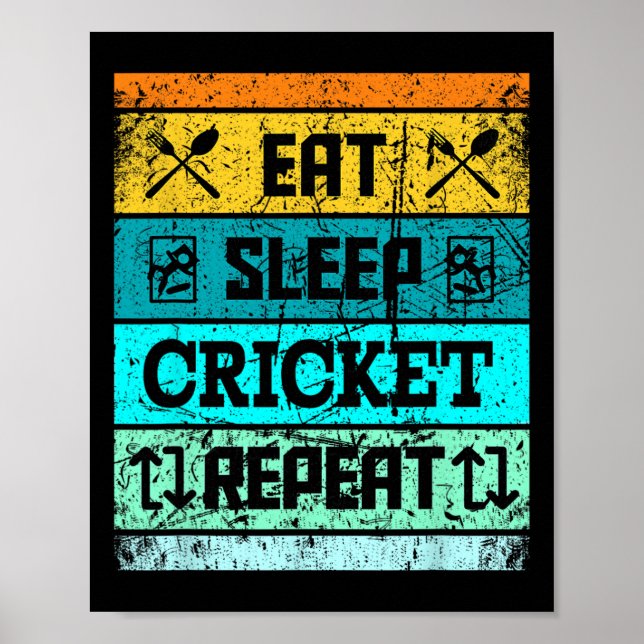 Póster Deporte de cricket Equipo de cricket Come Duerme J (Frente)