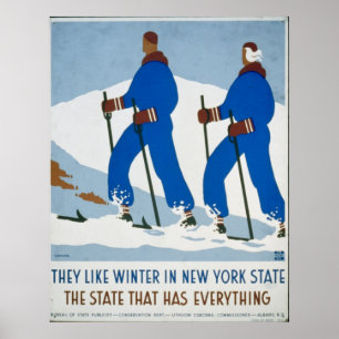 Póster Deporte invernal vintage en Nueva York