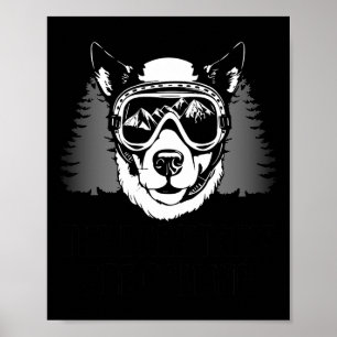 Póster Deportes de invierno divertidos para esquiar Perro