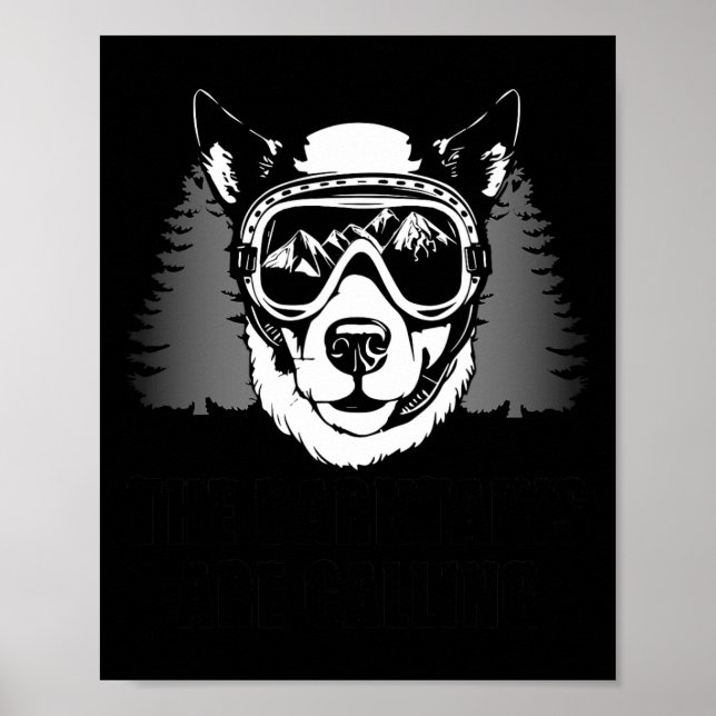 Póster Deportes de invierno divertidos para esquiar Perro (Frente)