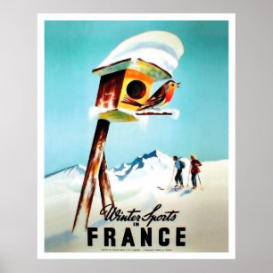 Póster Deportes de invierno en Francia, pequeño pájaro en