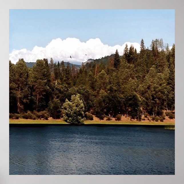 Póster Depósito de alas...... (Frente)