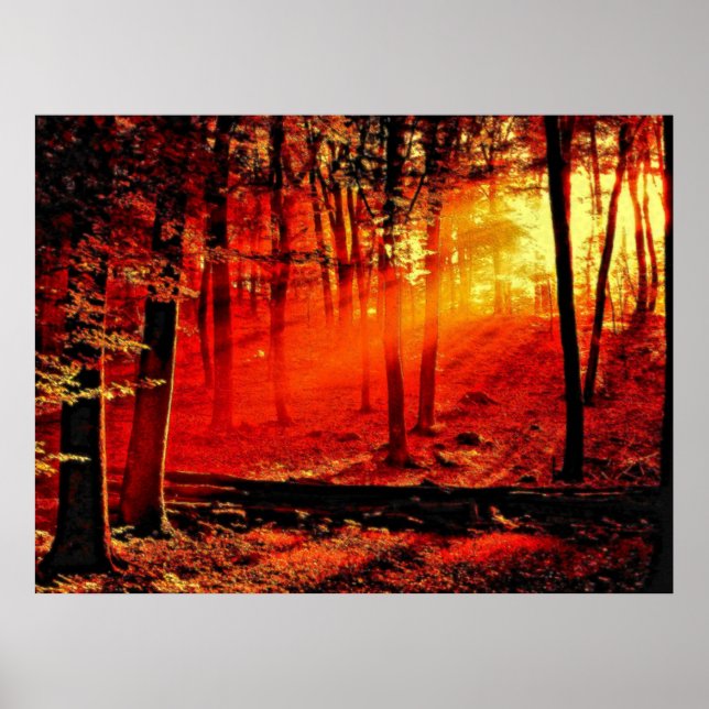 Póster Depth 59 (Frente)