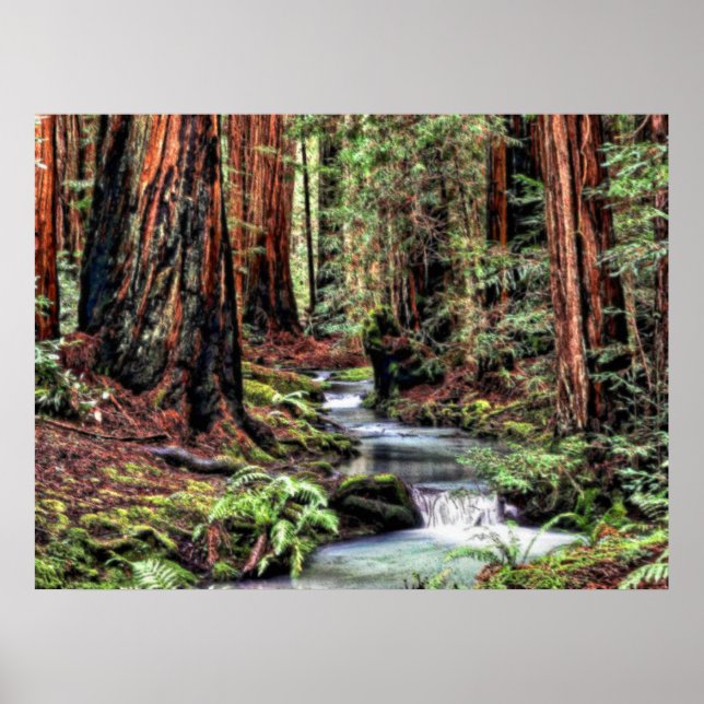 Póster Depth 92 Bristle (Frente)