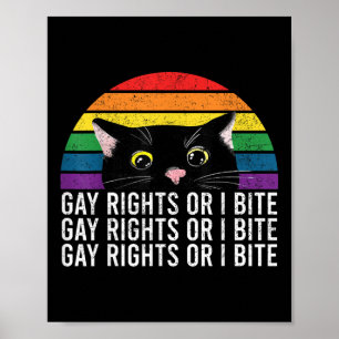 Póster Derechos De Los Gays O Mal De Orgullo Del Gato De