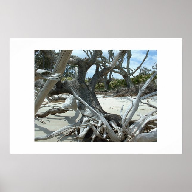 Póster Derivación (Frente)