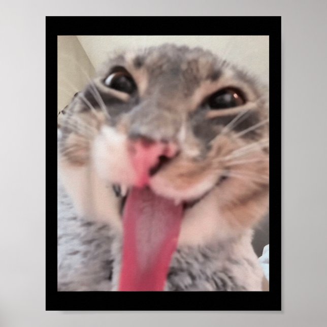 Póster Derpy Cat Tongue Out Meme Funny Weirdcore me da (Frente)