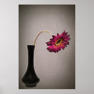 Póster Derrame Gerbera Daisy En Vase