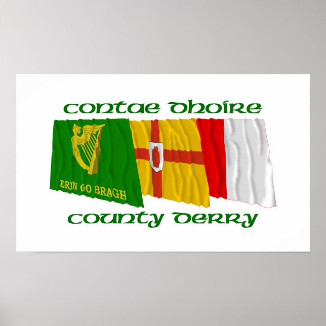 Póster Derry Flags del condado (Frente)